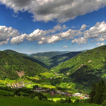 Urlaub Auf 1.000 Meter Hoehe Mit Pool Und Sauna Schönwalde 외부 사진