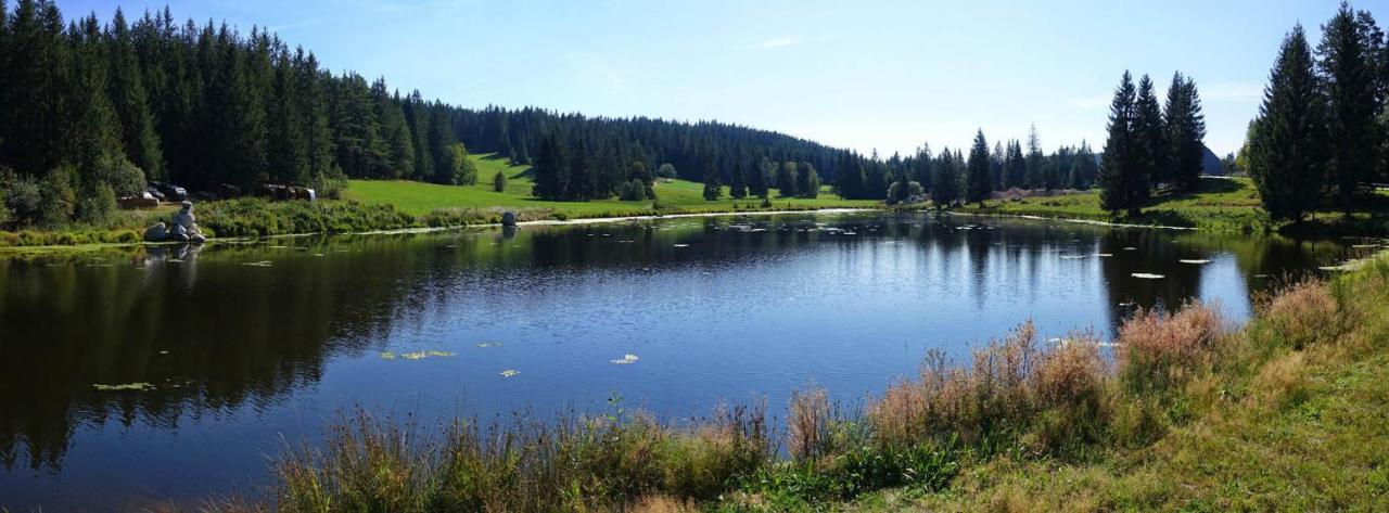 Urlaub Auf 1.000 Meter Hoehe Mit Pool Und Sauna Schönwalde 외부 사진
