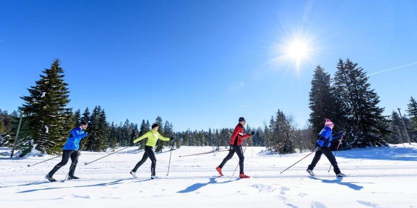 Urlaub Auf 1.000 Meter Hoehe Mit Pool Und Sauna Schönwalde 외부 사진
