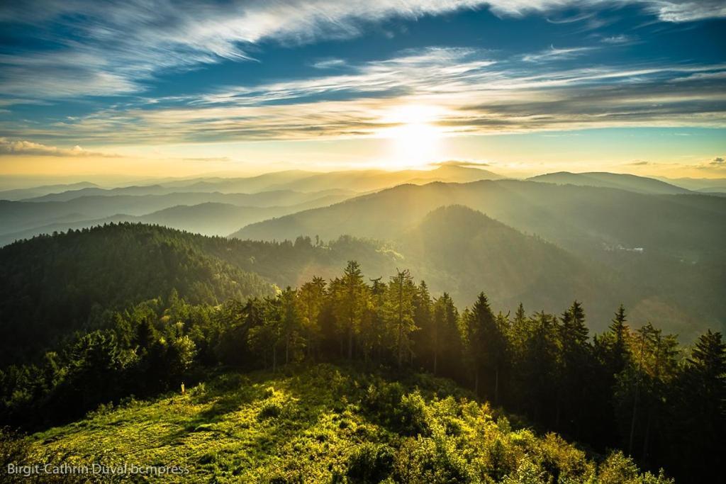 Urlaub Auf 1.000 Meter Hoehe Mit Pool Und Sauna Schönwalde 외부 사진
