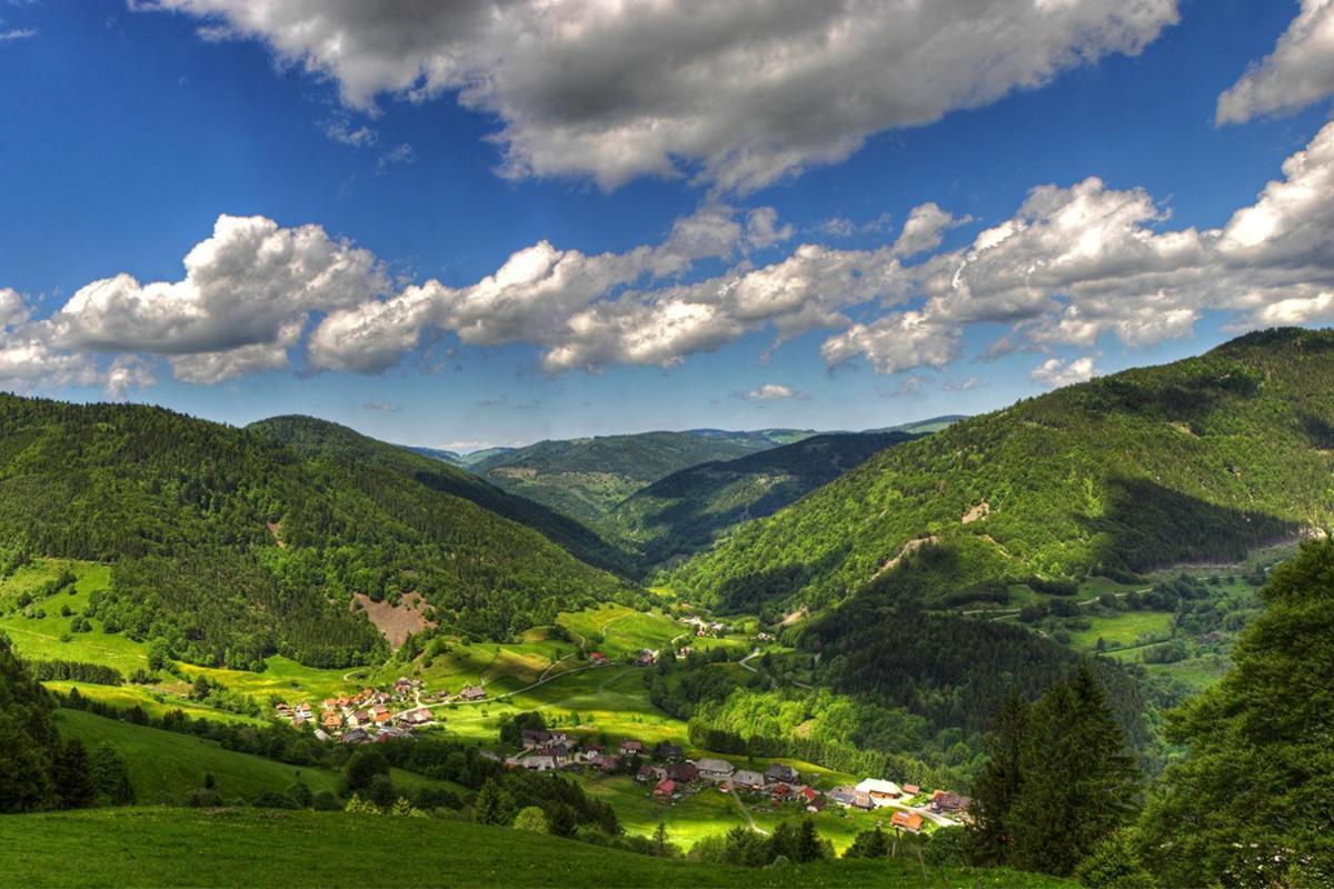 Urlaub Auf 1.000 Meter Hoehe Mit Pool Und Sauna Schönwalde 외부 사진